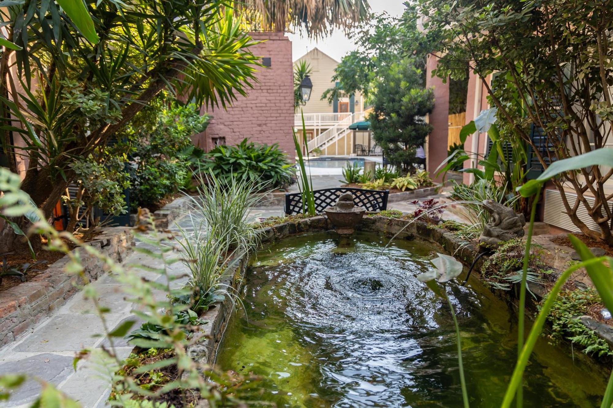 Lamothe House Hotel A French Quarter Guest Houses Property New Orleans Eksteriør bilde